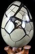 Septarian Dragon Egg Geode - Black Crystals #55711-3